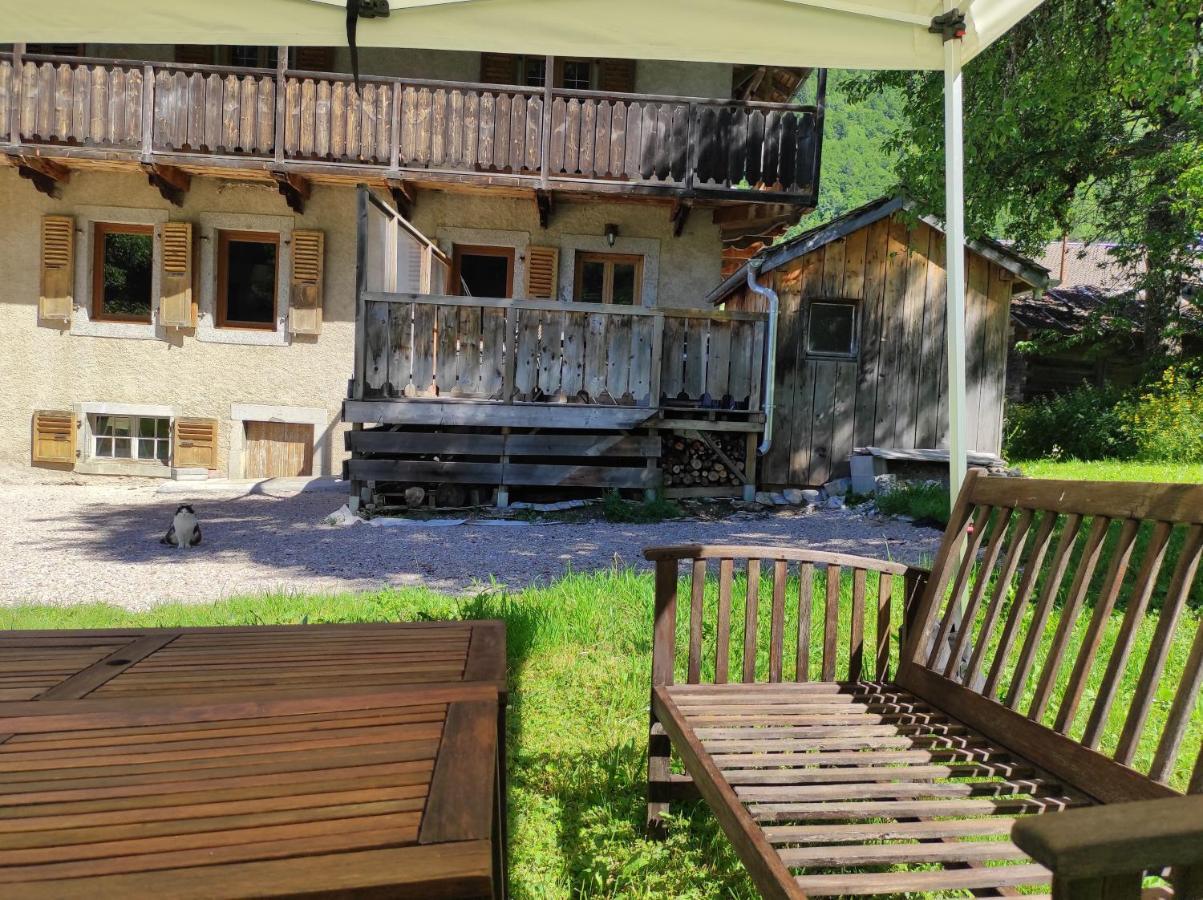 Appartement 6 Pers 70 M² Dans Chalet Chez Marie Montriond Eksteriør billede