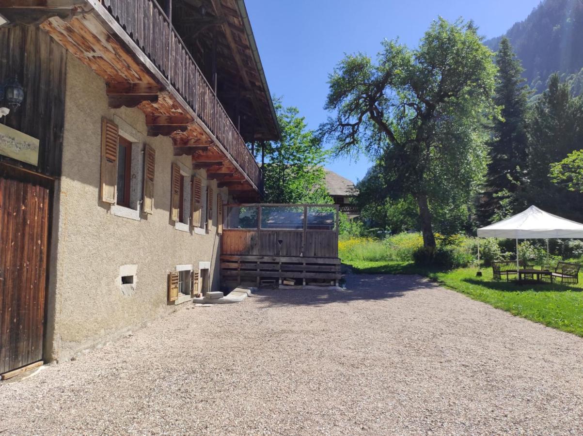 Appartement 6 Pers 70 M² Dans Chalet Chez Marie Montriond Eksteriør billede